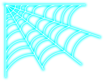 Neon Spider Web Icon